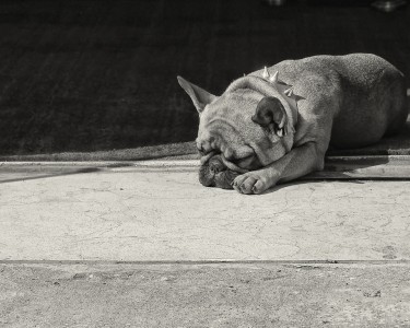 sf_street18WP