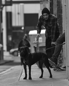 skater_dog1_WP